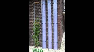 Ze bloeien twee keer per jaar. Planten Clematis Clematis Madame Le Coultre Verzorging Snijden 2021