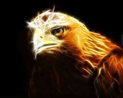 Pngtree offers hd fire eagle background images for free download. Fire Eagle Wallpapers Wallpaper Cave
