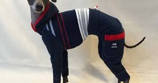 ボーダーカーゴフルスーツ イタグレ イタリアングレーハウンド の洋服 grindog イタグレ グレーハウンド 犬の服