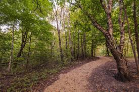 Maybe you would like to learn more about one of these? The Trail Less Traveled Where To Find Minnesota Parks That Are Off The Beaten Path Mpr News