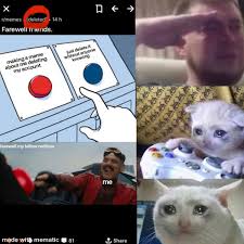 See more ideas about cat icon, cat memes, cat stands. Farewell Fallen Soldier Meme