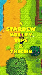 Need Help Which Is Better?!? : R/Stardewvalley