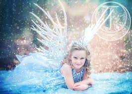 Ice Fairy Wings Winter Fairy Costume Fairy Costume Kids Winter Fairy
