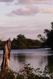 We did not find results for: Paddle Wheel Inn Oregon Il