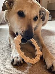 Yuppie puppy marrow bone jerky flavour dog chew tough durable toy meaty treat. Buy Sp Honey Bone Ultra Durable Nylon Dog Chew Toy