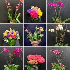 Expert recommended top 3 florists in charleston, south carolina. Charleston Wholesale Florist Home Facebook