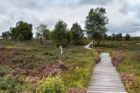 It offers guided walking tours for everyone in german, french and dutch. Wandern Haus Ternell Herzogenhugel Tour 162310