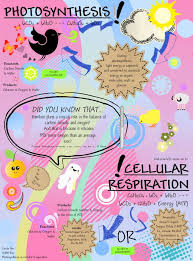 Cellular Respiration Diagram Worksheet Photosynthesis And Cellular Respiration Biology Activity Photosynthesis And Cellular Respiration Biology Classroom