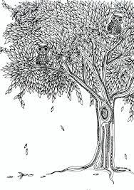 Home » images tagged tree. Christmas Tree Coloring Pages For Adults Coloring And Drawing