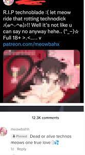 cursed_pngtuber : r/cursedcomments