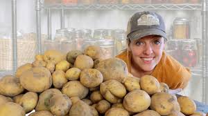 It is important to meet these environmental conditions or it could result in your harvest becoming rotted or sprouted. Digging Up And Storing Potatoes For Winter The Prairie Homestead