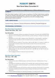 new home sales consultant resume