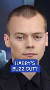 Harry Styles Seen with A Buzz Cut