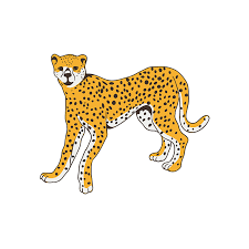 Africa Animals Vector 1 Vector Cheetah Designious For our lovely dayrunners, the editor's pick albums get the most heated pieces ready for you. africa animals vector 1 vector cheetah