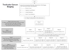 testicular cancer staging