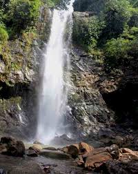 Batu empedu awalnya terbentuk dari kolesterol dan biasanya tidak menunjukkan. 385 Tempat Wisata Di Sumatera Utara Paling Menarik Dan Wajib Dikunjungi Tempat Me