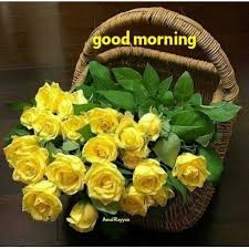 Good morning images, photos, pictures in hindi. Sunday Good Morning Images In Hindi Good Morning Yellow Rose 720x720 Wallpaper Teahub Io