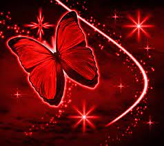 Aesthetic wallpaper for android and iphone#aestheticwallpaper#aestheticphotography#aestheticbackground# red moon wallpaper. 66 Red Butterfly Wallpaper On Wallpapersafari
