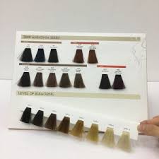 Removable Hair Color Swatches Hair Color Cream Chart