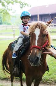 Come ride the trails with us at beautiful pokagon state park. Pokagon State Park Studio Quirk Let S Make Something