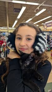 CUTE overload! Come to Petco in Pearl City and meet these cuties. They are  all up for adoption! ❤️🌲❤️🌲, #catlovers #catadoption #rescuecat
