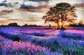 Want to decorate your home with a unique and original piece of art? Sunset Lavender Field Painting By Georgi Dimitrov