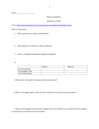 11 best images of microscope worksheet answers key. Mitosis And Meiosis Virtual Lab Worksheet