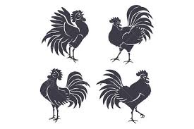 Rooster Black Rooster Silhouette Rooster Icon Illustration Silhouette® glossy permanent adhesive vinyl, black. pinterest