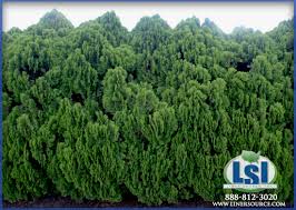 Here at liner source, inc., we want to provide you with the best. Berkman S Gold Liner Source Inc