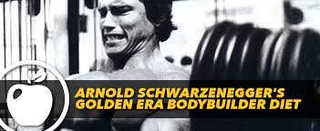 arnold schwarzeneggers golden era bodybuilder diet