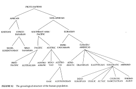 Measuring Language Ii Regarding Measurement