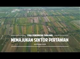 Bahkan, sektor pertanian menjadi sektor penyelamat perekonomian nasional karena pertumbuhannya terhadap pdb kuatal ii 2020 sangat tinggi, di kalau begitu, untuk bisa survive dan menghidupkan manusia di dunia adalah kita harus memajukan pertanian. Cara Pemerintah Thailand Memajukan Sektor Pertanian Youtube