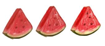 Step By Step To Draw Watermelon Photoshop Lady Easy drawing tutorials for beginners, learn how to draw animals, cartoons, people and comics. step by step to draw watermelon