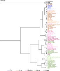 Hierarchical Clustering Of Female Dogs From Various Breeds
