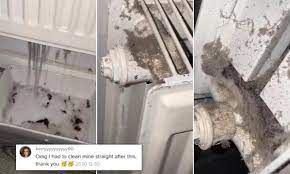 Check out our range of plumbing products at your local bunnings warehouse. Cleaning Enthusiast Reveals The Huge Amounts Of Dirt Hidden Inside Radiators