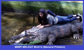 Imam ibnu sirin, dalam bukunya tafsir mimpi menurut islam, berkata: Tafsir Mimpi Buaya Dalam Islam
