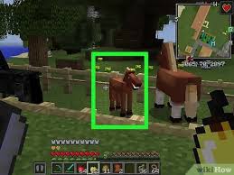 Our horses are complete with different gaits, . How To Breed Horses In Minecraft With Pictures Wikihow