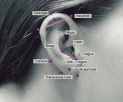 Ear Piercing Chart Tumblr