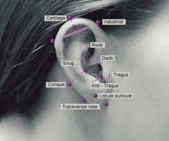 ear piercing chart tumblr