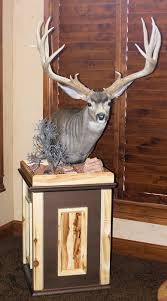 Maybe you would like to learn more about one of these? The Best Pose For Your Mount Gohunt