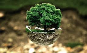 Image result for how to protect the environment