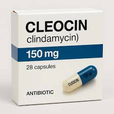 Image result for Clindamycin