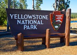 Since before the creation of yellowstone national park in 1872, entrepreneurs have established hotels and permanent tourist camps to accommodate visitors to the park. Yellowstone Camping Visitors Guide 11 Campgrounds 10 Hikes 9 Facts Gudgear