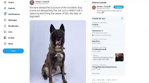 Peu après, le garçonnet découvre que le chien appartient en réalité au président des. Conan Le Chien Soldat Heros Du Raid Contre Baghdadi Bientot A La Maison Blanche