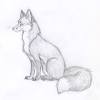 How do you draw a red fox? 1