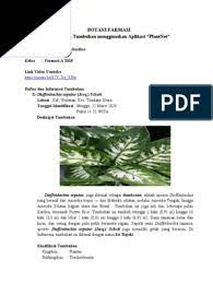 Puji syukur kehadirat tuhan yang maha esa atas segala rahmatnya sehingga makalah ini dapat terselesaikan dengan baik. Botani Adalah Pdf Siswapelajar Com