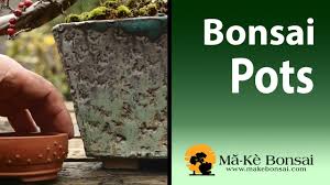 When you hover over the sapling in the pot you can see a percentage. Bonsai Pots Selection Guide Bonsai Trees For Beginners Series 94 Youtube