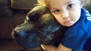 Bell's performance and the idea of calling him Mr. .500