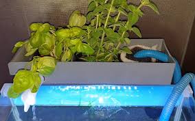 I made these all by myself, using glass and silicone. Make Mini Aquaponics Filter For Betta Fish Tank