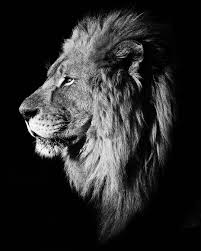 3 672 Begenme 8 Yorum Instagram 39 Da Viral Arts Artsviral Quot Just Amazing Quot Black King Quot By Creativesoul Comment Quot Lion Quot Aslan